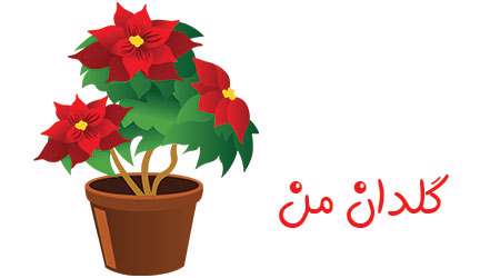 گلدان من