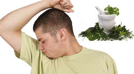 رفع بوی عرق با 10 گیاه دارویی