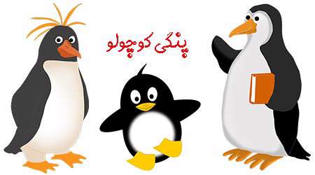 پنگی کوچولو: قسمت دوم