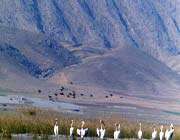 parishan lake