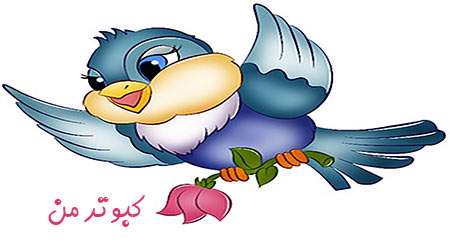 کبوتر من