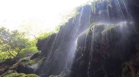 جنگل «شصت کلا» و آبشار «باران کوه»