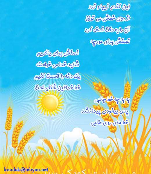 گندم