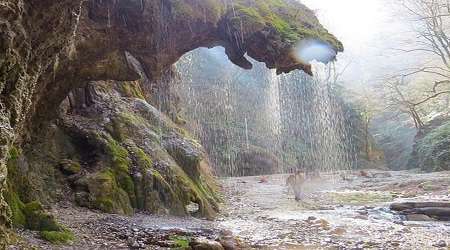جنگل «شصت کلا» و آبشار «باران کوه»