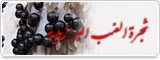 شجرة العنب البرازيلية الغريبة