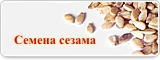 Мусульманская семья