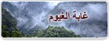 غابة الغيوم