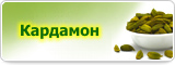 семья