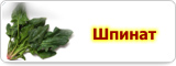 семья