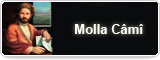 Molla Câmî