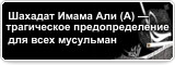 Шахадат Имама Али (А) — трагическое предопределение для всех мусульман