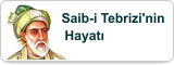 Saib-i Tebrizi'nin Hayatı ve Şiir Anlayışı Üzerine