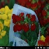 بازار گل تهران
