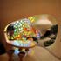 the nautilus house