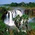 african nature