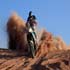 2011 dakar rally