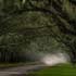 beautiful road