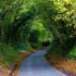 beautiful road