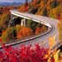 beautiful road