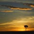 african nature