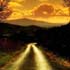 beautiful road