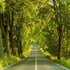 fantastic roads