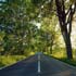beautiful road