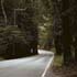 beautiful road