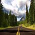 beautiful road