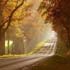 beautiful road