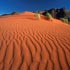 african nature
