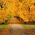 beautiful road