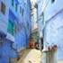jodhpur, the blue city