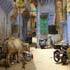 jodhpur, the blue city