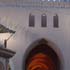 مسجد الشجرة