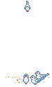 دنیای حیوانات