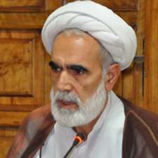 رضا محمدی