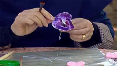 گل بنفشه گل بنفشه