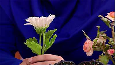 گل مارگریت (2) گل مارگریت (2)