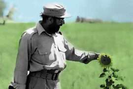 تصاویر هوایی ویژه از محل شهادت دکتر مصطفی چمران تصاویر هوایی ویژه از محل شهادت دکتر مصطفی چمران
